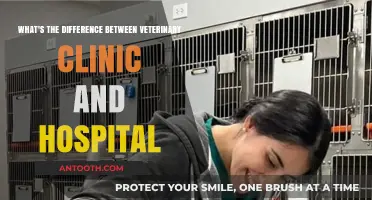 Veterinary Clinics vs. Hospitals: Understanding Key Differences and Services