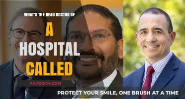 Who Leads the Hospital? Understanding the Role of the Chief Medical Officer