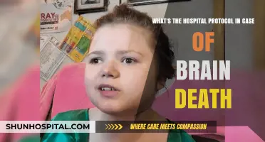 Understanding Hospital Procedures for Brain Death: A Comprehensive Guide