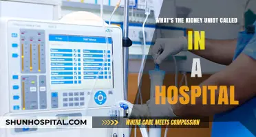 Understanding the Renal Unit: A Hospital's Kidney Care Department Explained