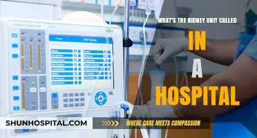 Understanding the Renal Unit: What's the Kidney Department Called in Hospitals?