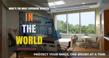 The World's Priciest Hospital: Unveiling Luxury Healthcare Costs