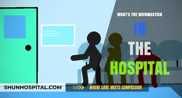 Understanding the Moving Stick: A Hospital Essential Explained
