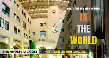 Discovering the World's Top Hospital: A Global Healthcare Leader