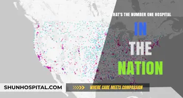 Discovering America's Top Hospital: Unveiling the Nation's Best Healthcare Leader
