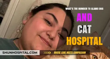 Contact Alamo Dog and Cat Hospital: Your Pet's Health Hotline
