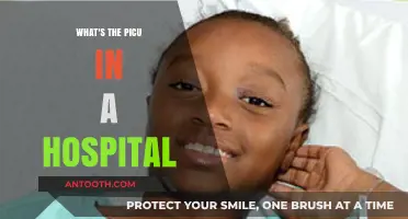 Understanding the PICU: A Hospital's Pediatric Intensive Care Unit Explained