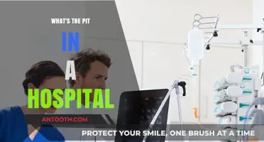Understanding the Pit: A Hospital's Critical Care Hub Explained