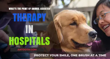 Healing Paws: The Power of Animal-Assisted Therapy in Hospitals
