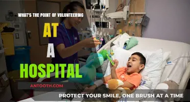 Volunteering at a Hospital: Impact, Growth, and Purpose Explained