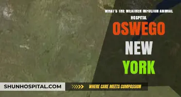 Weather Update: Fulton Animal Hospital Oswego, NY Conditions Today