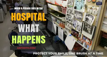 Hospital Death Protocol: What Happens After a Patient Passes Away?