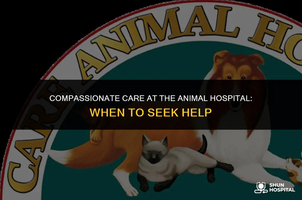 when animal hospital