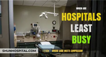 Discovering the Quietest Times: When Hospitals Experience Low Activity