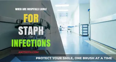 Hospital Liability for Staph Infections: Understanding Legal Responsibilities