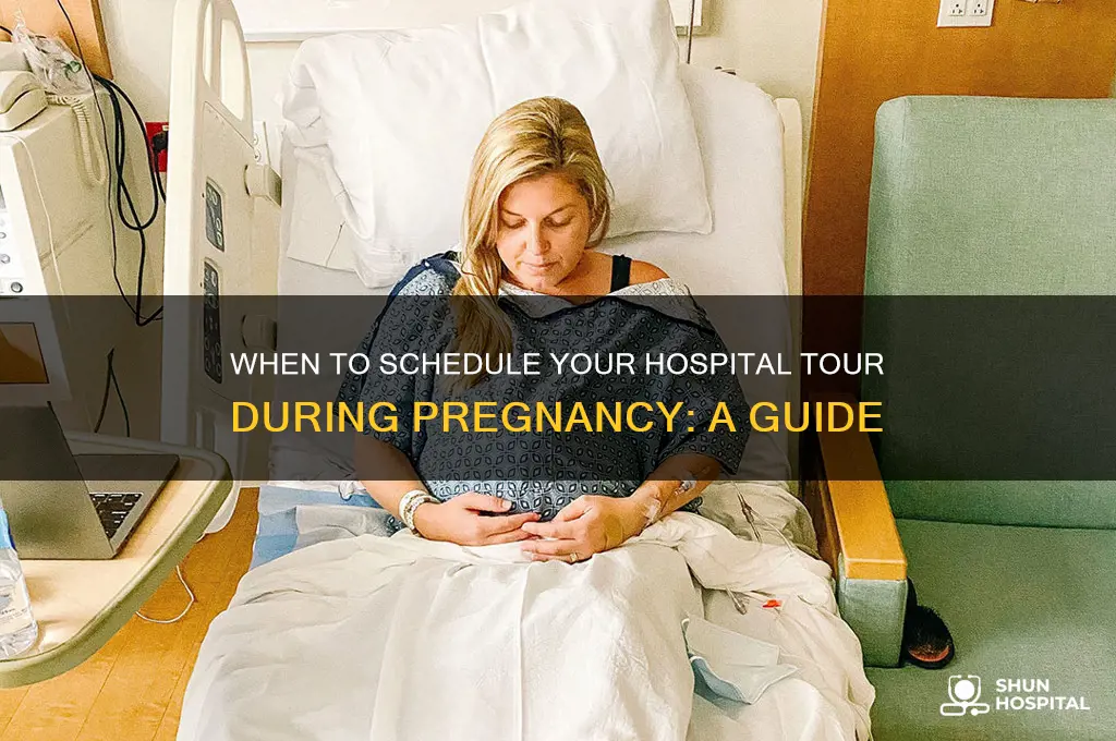 when are you supposed to do a hospital tour pregnancy