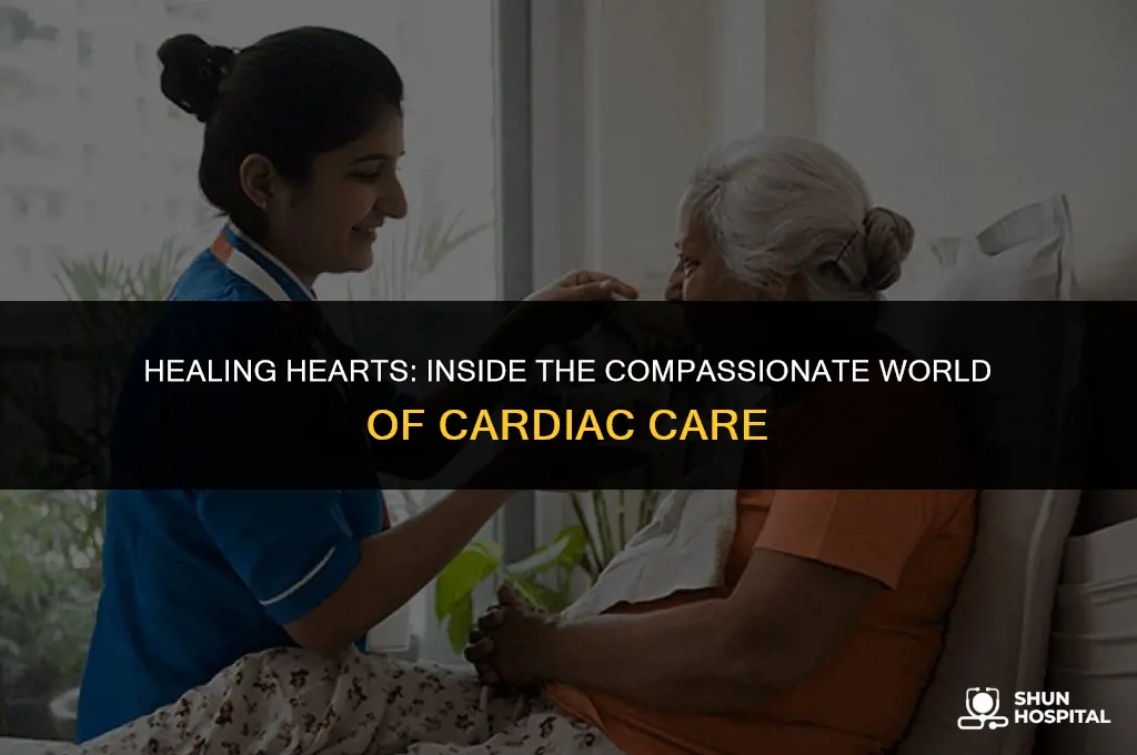 when calls the heart hospital