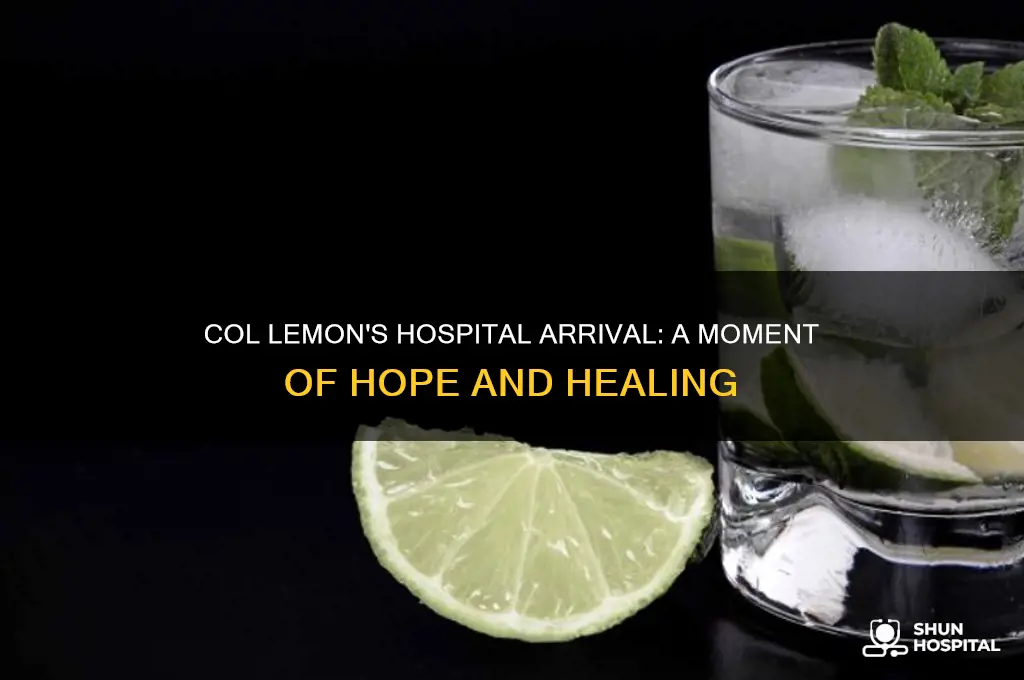 when col lemon arrive at the hospital