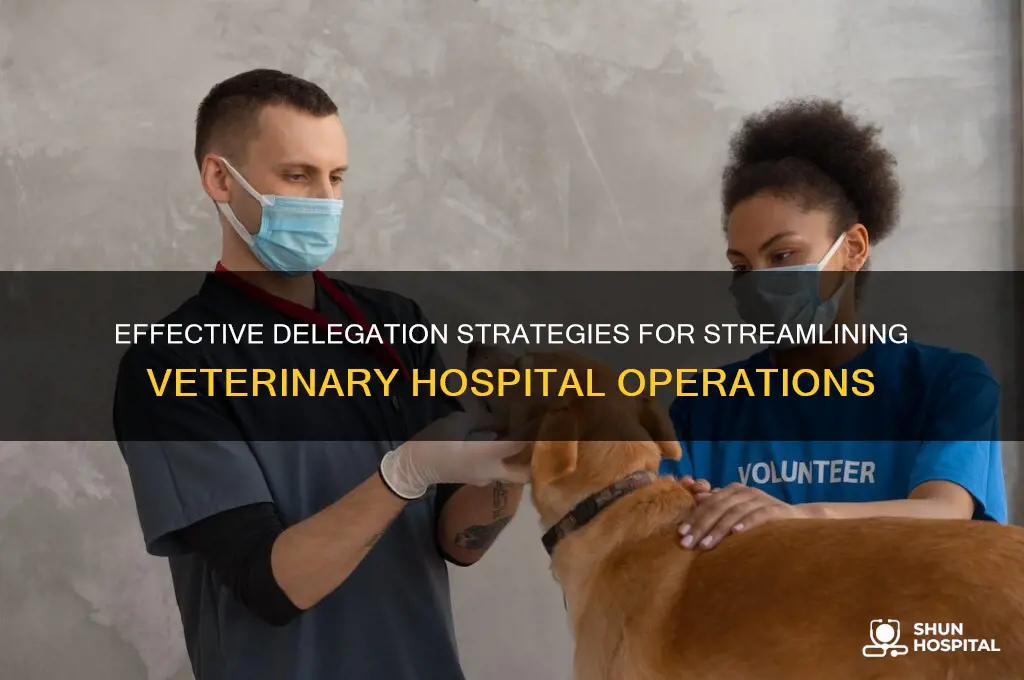 when delegating tasks in a veterinary hospital
