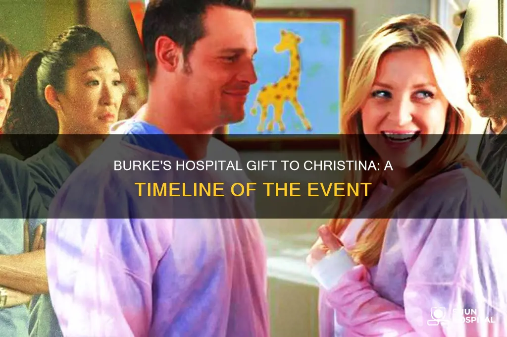 when did burke give christina his hospital