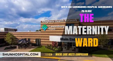 Canonsburg Hospital Maternity Ward Closure: A Look Back