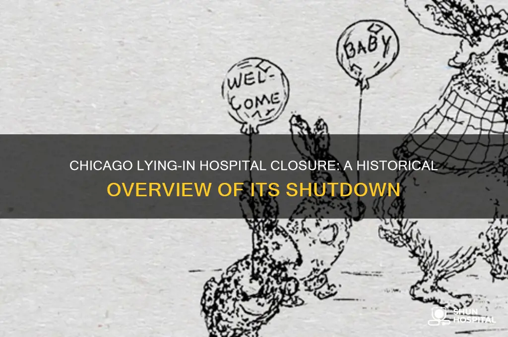 when did chicago lying in hospital close