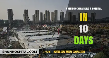 China's 10-Day Hospital Miracle: A Timeline of Rapid Construction