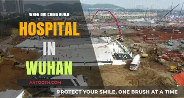 China's Rapid Wuhan Hospital Construction: A Timeline of Events