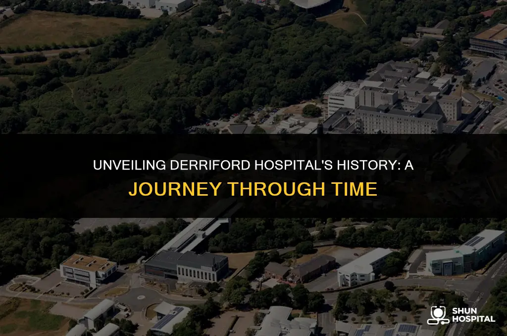 when did derriford hospital open