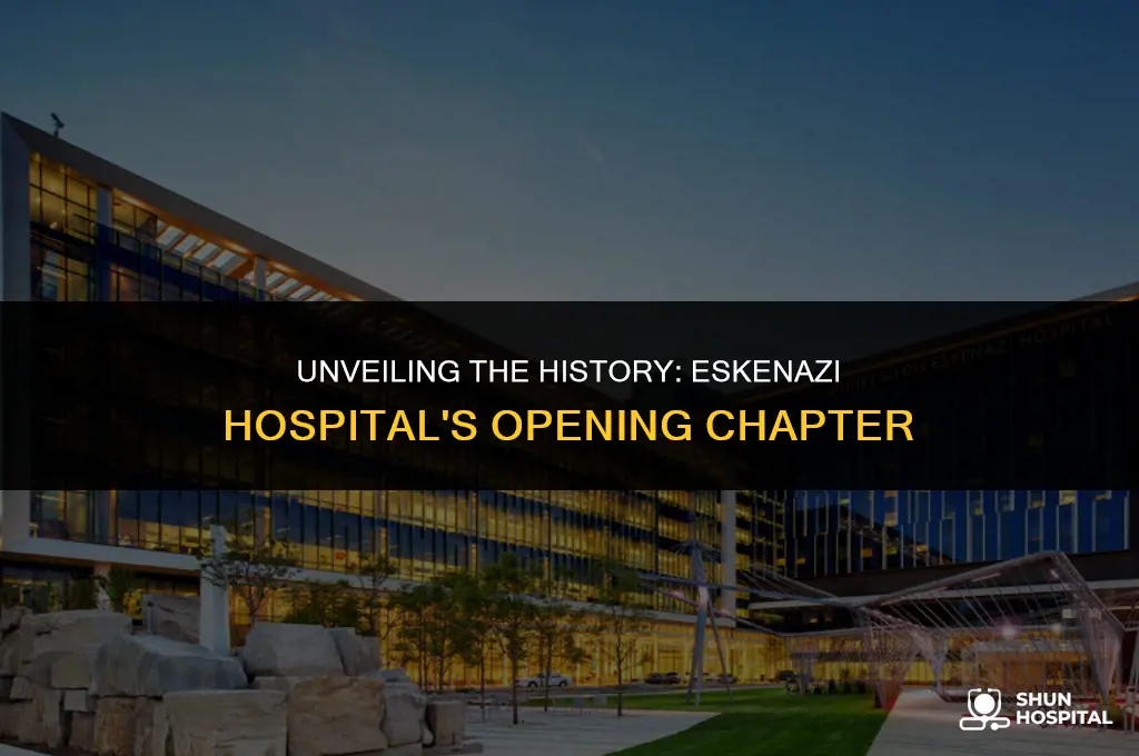 when did eskenazi hospital open