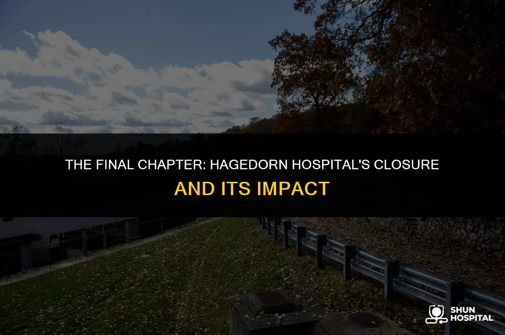 when did hagedorn hospital close