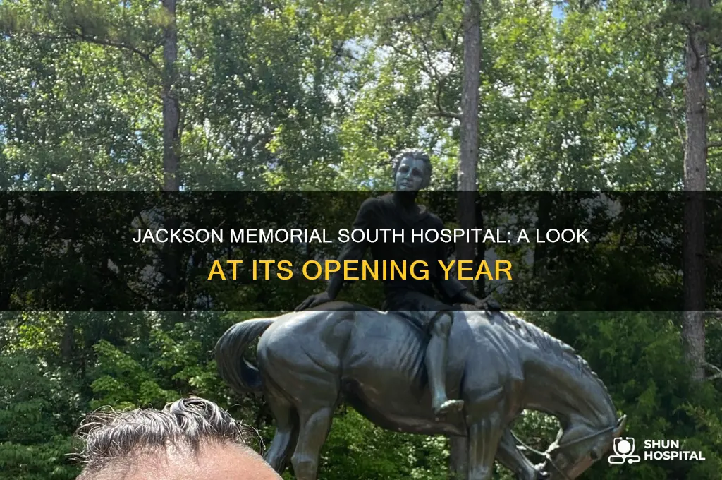 when did jackson memorial south hospital open