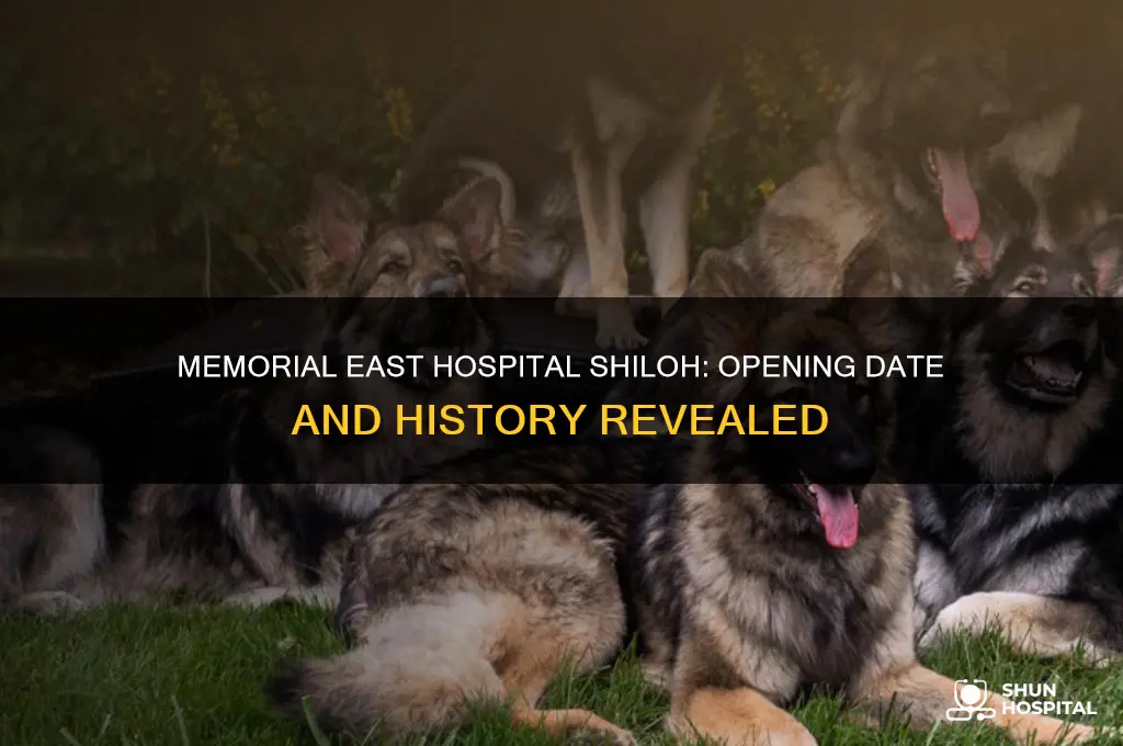 when did memorial east hospital shiloh open
