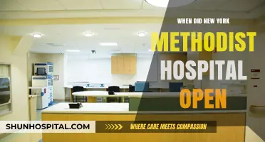 New York Methodist Hospital's Opening: A Historical Overview