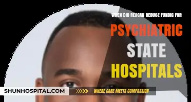 Reagan's Cuts: When Psychiatric State Hospitals Lost Funding