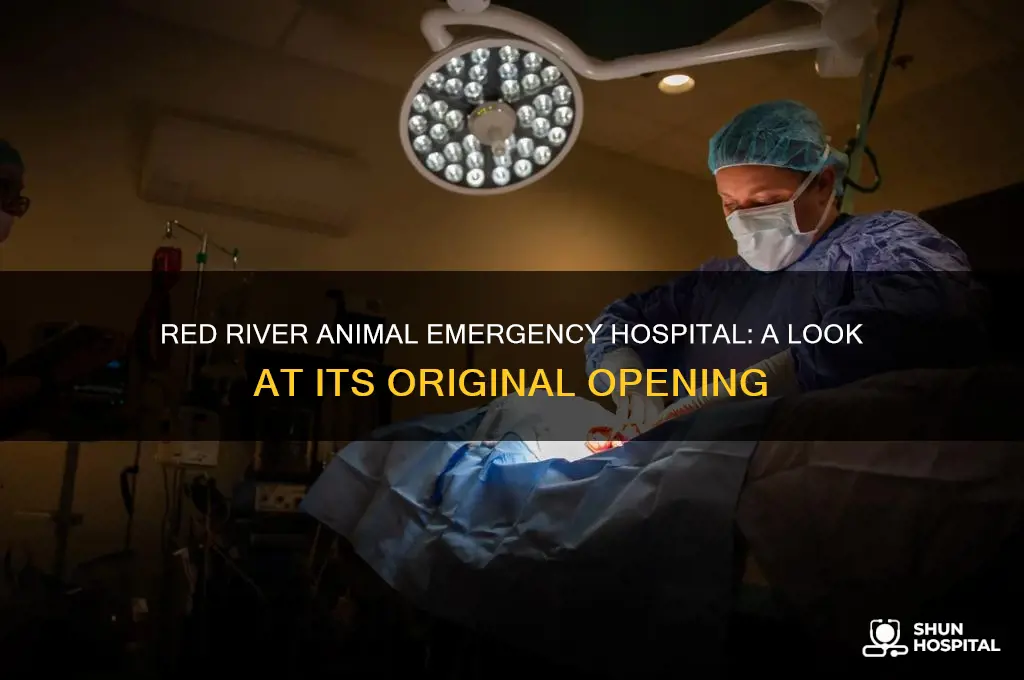 when did red river animal emergency hospital originally open
