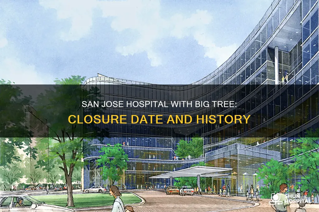 when did san jose hospital with big tree close