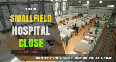 The Final Chapter: Smallfield Hospital's Closure and Its Impact