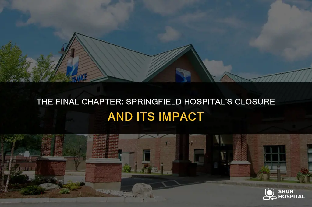 when did springfield hospital close