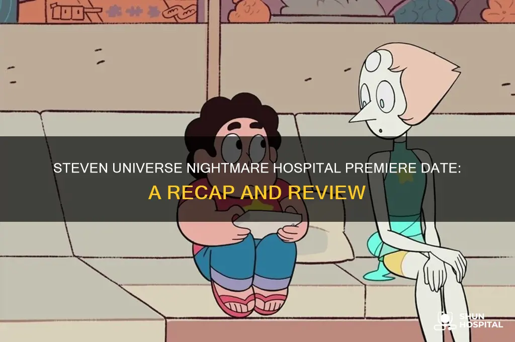 when did steven universe nightmare hospital premiere