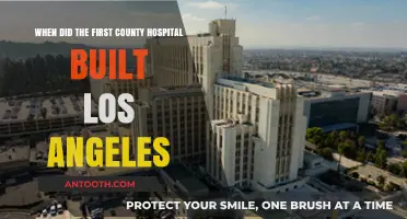 The Birth of LA's First County Hospital: A Historical Overview