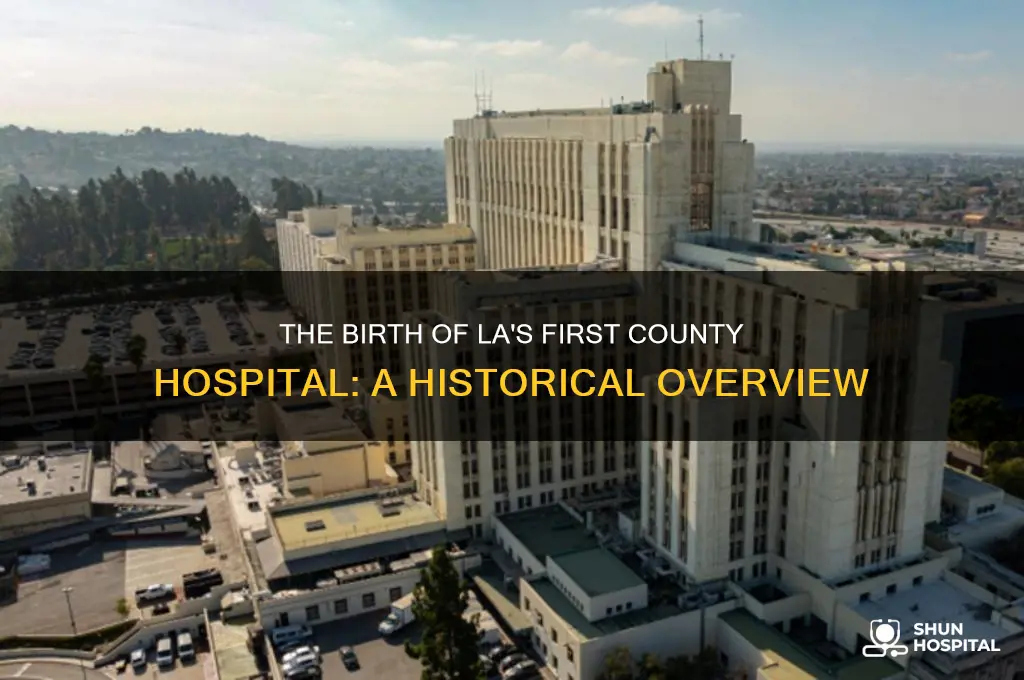 when did the first county hospital built los angeles