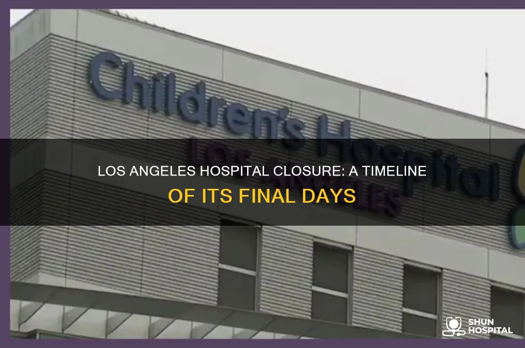 when did the los angeles hospital close