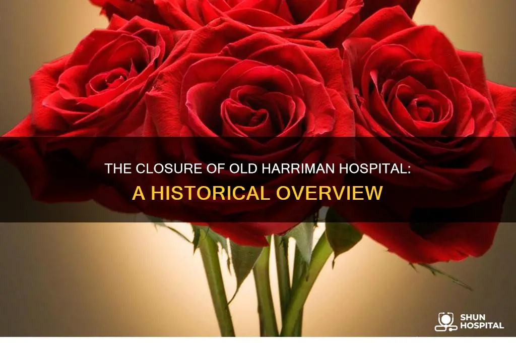 when did the old harriman hospital close