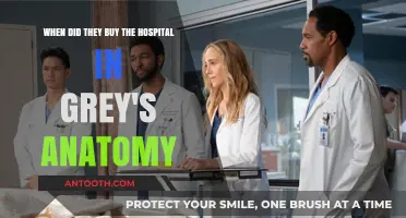 Grey's Anatomy Hospital Purchase: Unraveling the Timeline of Ownership