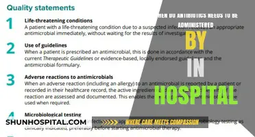 Optimal Timing for In-Hospital Antibiotic Administration: A Critical Guide