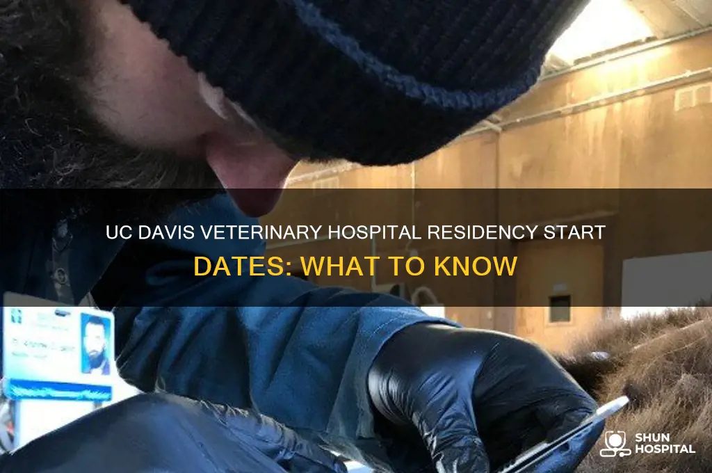 when do residencies start for uc davis veterinary hospital