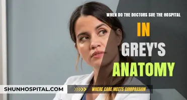 Grey's Anatomy Legal Battles: When Doctors Sue the Hospital