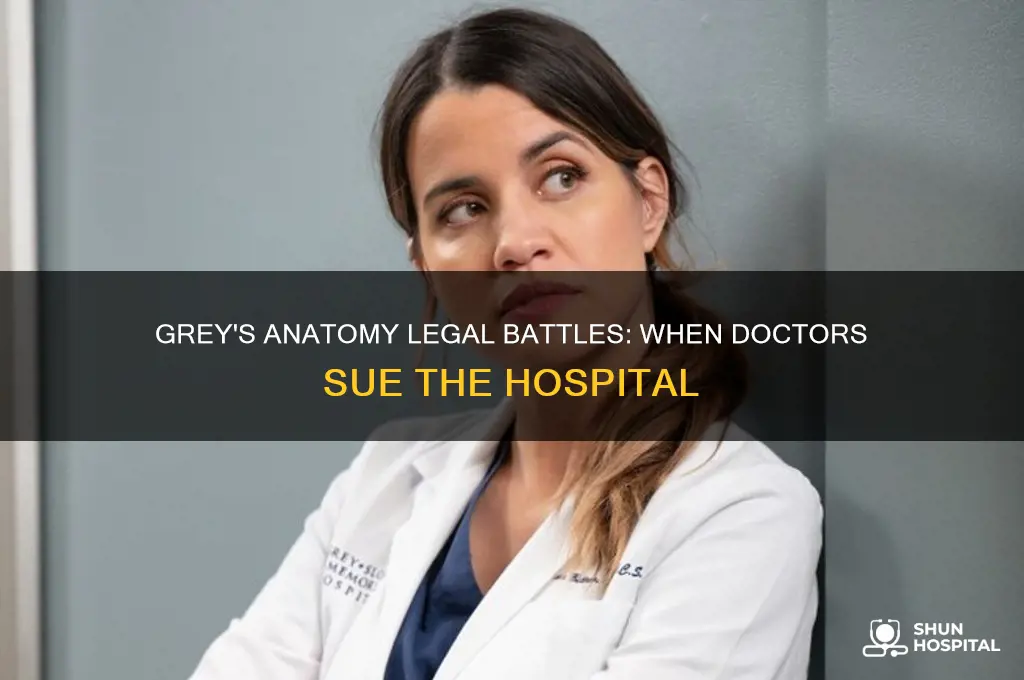 when do the doctors sue the hospital in grey