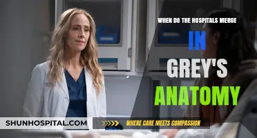 Grey's Anatomy Hospital Mergers: Timeline and Impact Explained
